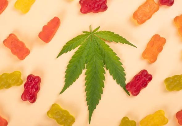 best euphoria gummiesbest euphoria gummies